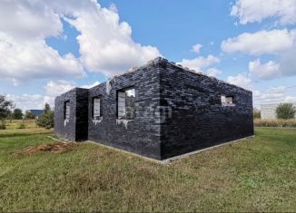 Продам дом, 120 м2, село Углянец, Кедровая улица, 48