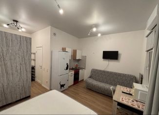 Сдам квартиру студию, 24.6 м2, Люберцы, Некрасовский проезд, 13, ЖК Люберцы 2018