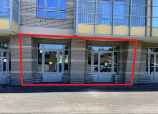 Продаю торговую площадь, 110.8 м2, Санкт-Петербург, Полевая Сабировская улица, 45к1, метро Старая Деревня