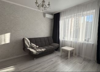 Сдача в аренду однокомнатной квартиры, 35 м2, Краснодар, Домбайская улица, 59, микрорайон Губернский