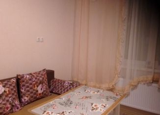 Аренда 1-комнатной квартиры, 45 м2, деревня Куюки, 15-й квартал, 17