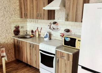 Сдается в аренду квартира студия, 34 м2, Новосибирск, улица Дмитрия Шмонина, 1, метро Студенческая