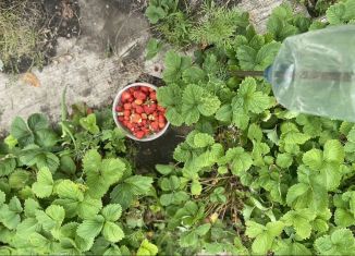 Продается дача, 16 м2, Омск, Советский округ