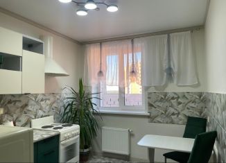 Сдается 1-комнатная квартира, 40.5 м2, Пермь, улица Старцева, 143, ЖК Авиатор