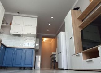 Продаю квартиру студию, 25 м2, деревня Куюки, Молодёжная улица, 29, ЖК Новые Куюки