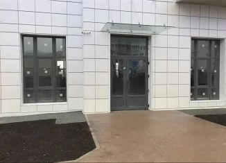 Продается торговая площадь, 380 м2, посёлок Парголово, улица Николая Рубцова, 12к1