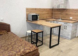 1-ком. квартира в аренду, 30 м2, Республика Башкортостан, проспект Дружбы Народов, 61/1