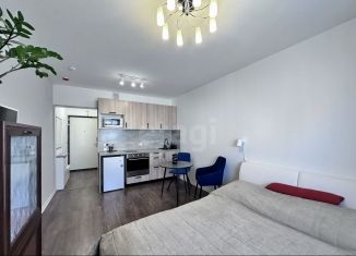 Продажа квартиры студии, 20.5 м2, Санкт-Петербург, Пейзажная улица, 30, метро Гражданский проспект