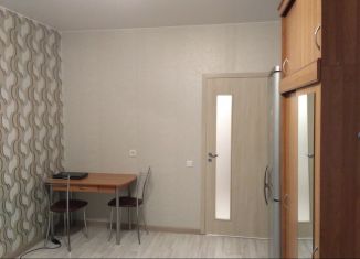 1-комнатная квартира в аренду, 25 м2, Санкт-Петербург, Дровяной переулок, 12, метро Балтийская