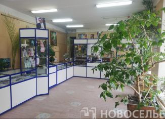 Продаю помещение свободного назначения, 203 м2, Рязань, Трудовая улица, 18