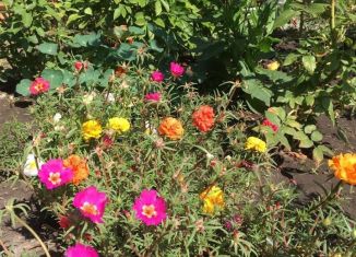 Продаю дачу, 56 м2, СНТ Раздолье, 33-й проезд