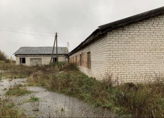Продам помещение свободного назначения, 1065 м2, Псковская область, деревня Юхново, 6