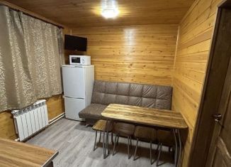 Дом в аренду, 50 м2, поселок Зюраткуль, Главная улица, 34