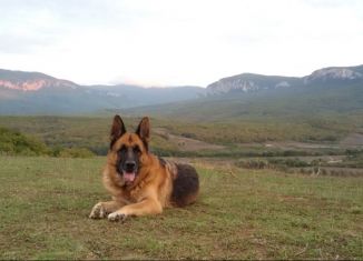 Продается земельный участок, 160 сот., Голубинское сельское поселение