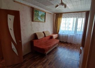 Аренда 1-комнатной квартиры, 30 м2, Новомосковск, улица Мира, 43