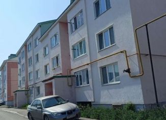 Продаю 1-ком. квартиру, 47 м2, поселок городского типа Карабаш, улица Ленина, 14