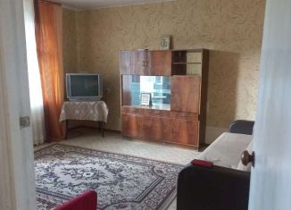 Сдается в аренду 2-комнатная квартира, 52 м2, деревня Нифантово, Фабричная улица
