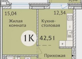 Продаю 1-комнатную квартиру, 42.5 м2, Новосибирск, ЖК Заельцовский
