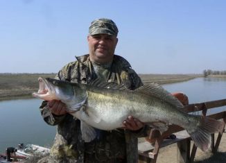 Аренда дома, 60 м2, село Селитренное, улица Чапаева, 10