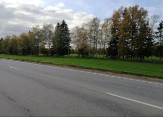 Продается земельный участок, 50 сот., поселок Сяглицы