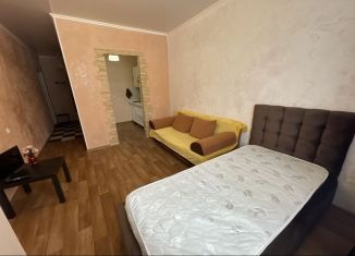 Квартира в аренду студия, 27 м2, Краснодар, улица Генерала Петрова, ЖК Прованс