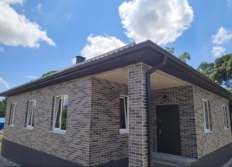 Продам дом, 112 м2, село Гайдук, Береговая улица, 15