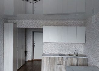 Сдам квартиру студию, 26 м2, Искитим, микрорайон Южный, 59