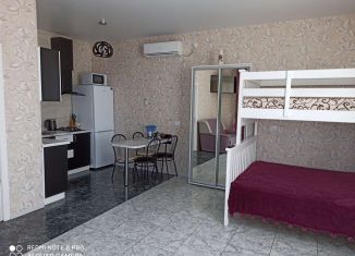 Квартира в аренду студия, 36 м2, Крым, улица Танкистов, 23