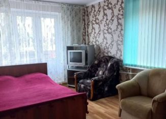 1-комнатная квартира в аренду, 30 м2, Татарстан, улица Энергетиков, 4