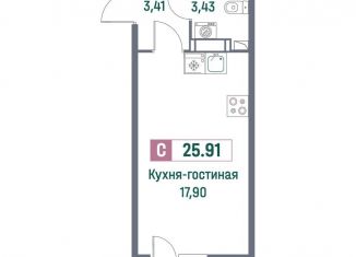 Продажа квартиры студии, 25.9 м2, Ленинградская область
