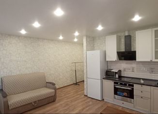 Квартира в аренду студия, 22 м2, Балашиха, улица Яганова, 3, ЖК Пехра