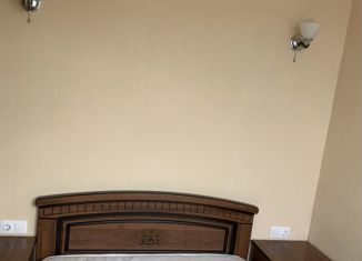 Сдача в аренду однокомнатной квартиры, 35 м2, Краснодарский край, садоводческое товарищество Труд, 163