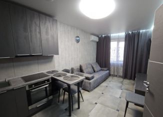 Сдам 2-комнатную квартиру, 43 м2, Барнаул, Центральный район, Песчаная улица, 171