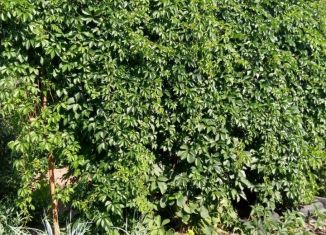 Продаю земельный участок, 10 сот., Сибай