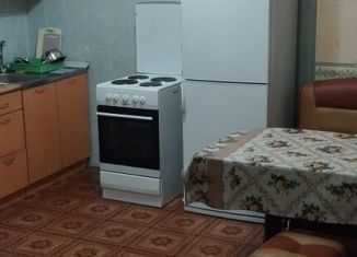 Сдается в аренду однокомнатная квартира, 43.4 м2, Красноярский край, улица Бабушкина, 2