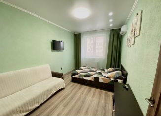 1-комнатная квартира в аренду, 38 м2, Ростовская область, Доломановский переулок, 124с1