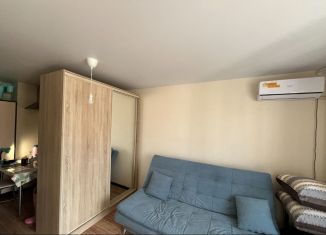 Продается квартира студия, 127 м2, Ростов-на-Дону, улица Висаитова, 1/12