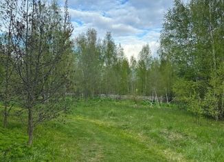 Продам участок, 16 сот., деревня Паника