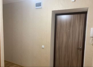 Сдается 1-ком. квартира, 28 м2, Татарстан, улица Александра Герцена, 111А