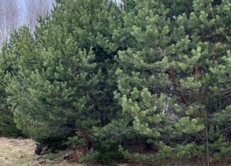 Продажа земельного участка, 8 сот., деревня Вторая Алексеевка