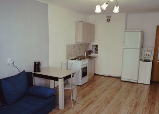 Квартира в аренду студия, 25 м2, Краснодарский край, проспект Дзержинского, 238