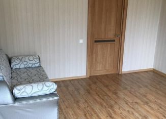 Однокомнатная квартира в аренду, 45 м2, Гусь-Хрустальный, Теплицкий проспект