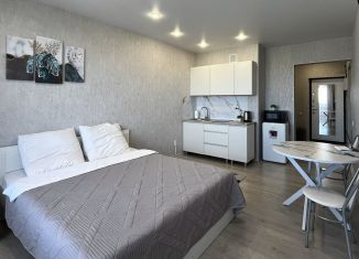 Сдаю в аренду квартиру студию, 30 м2, Иркутск, улица Пискунова, 148/7