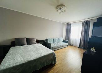 1-комнатная квартира в аренду, 40 м2, Санкт-Петербург, проспект Косыгина, 28к1