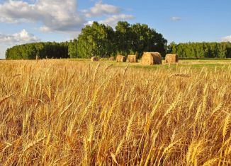 Участок на продажу, 830 сот., село Павловка, Садовая улица, 31