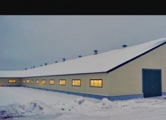 Помещение свободного назначения на продажу, 750 м2, Челябинск, Солнечная улица, 8, Курчатовский район