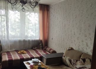 Сдается в аренду 2-комнатная квартира, 45 м2, Новосибирск, улица Дмитрия Шамшурина, 12, Железнодорожный район