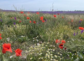 Продажа земельного участка, 6 сот., село Белоглинка, Урожайная улица