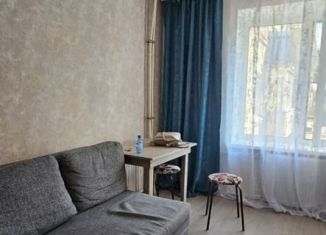 Сдается однокомнатная квартира, 32 м2, Санкт-Петербург, проспект Ленина, 74