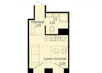 Продам квартиру студию, 22.5 м2, Санкт-Петербург, Выборгский район